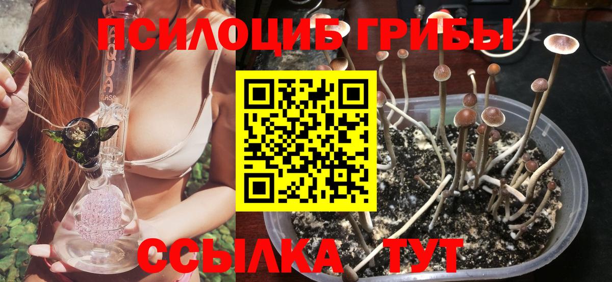 Псилоцибиновые грибы ЛСД Уварово