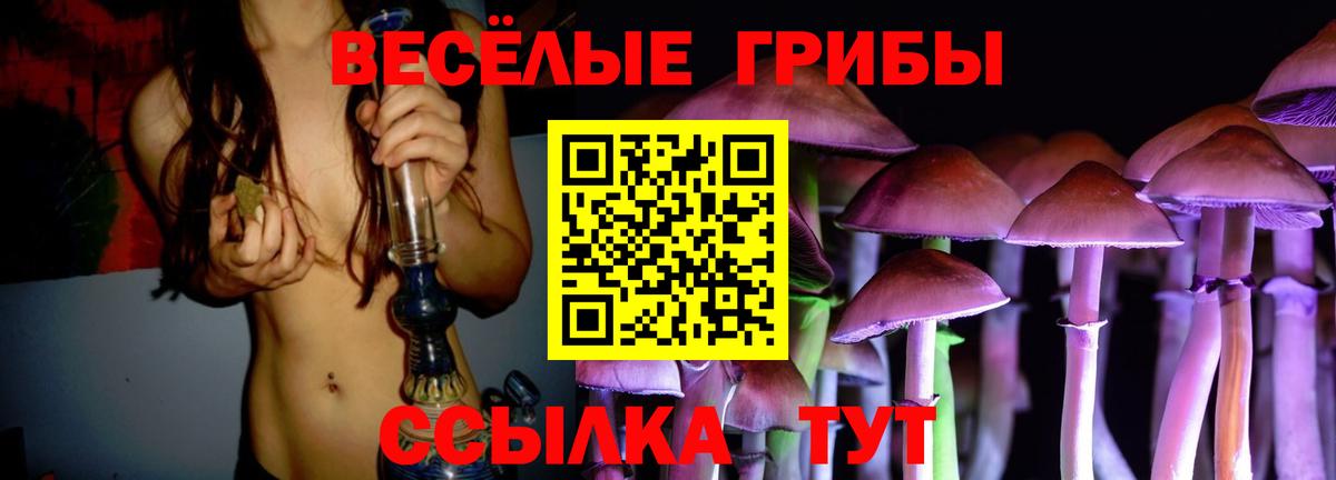 Псилоцибиновые грибы мухоморы  Вход с VPN  Псилоцибиновые грибы Psilocybe  Уварово 